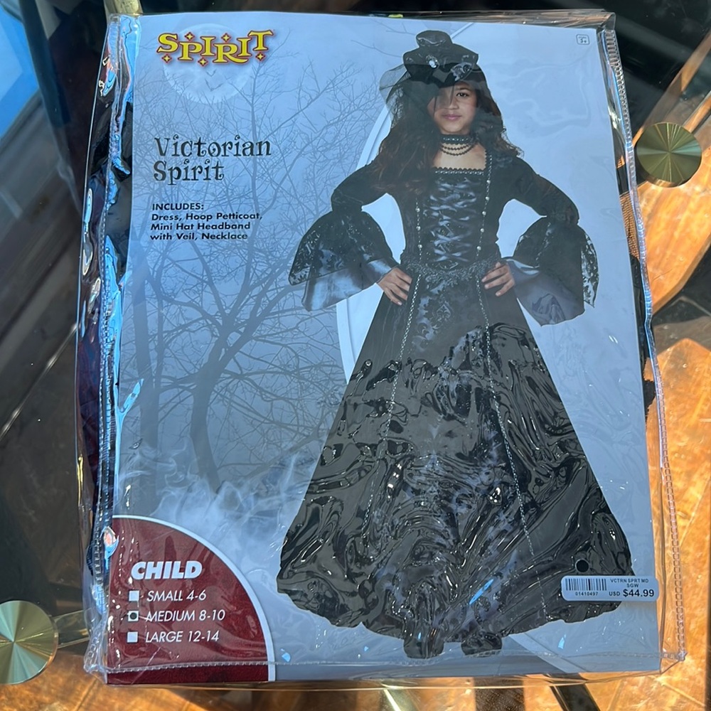 Victorian Spirit Costume